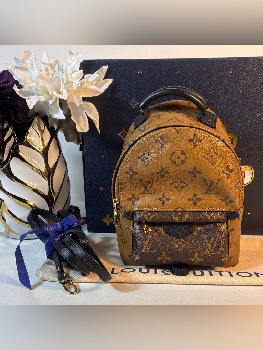 Louis Vuitton Reverse Palm Springs Mini